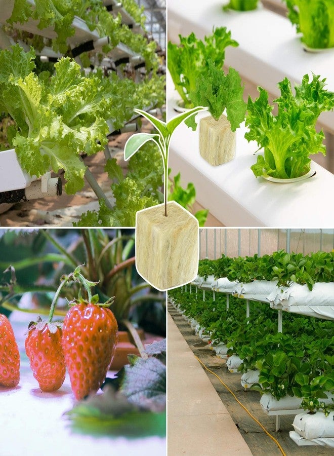 Halatool مكعبات الصوف الصخري من هالاتول مقاس 1 بوصة، مكعبات صوف صخري للحدائق، مكعبات صوف حجري للزراعة، شمعات بدء الزراعة المائية، الزراعة بدون تربة، استنساخ النباتات، بدء الإنبات (4 أوراق، 200 شمعة إجمالاً) - Image 5